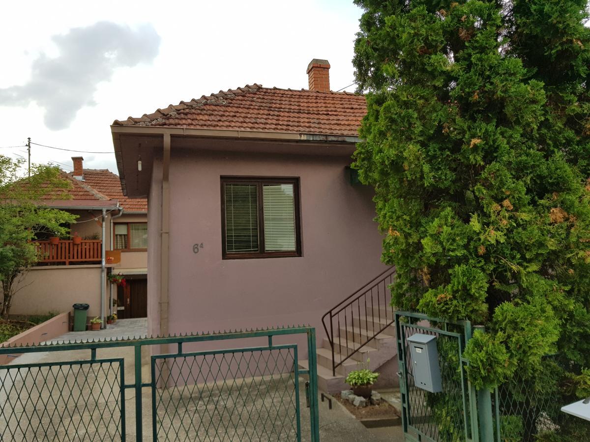 Apartments Cvetkovic Relax Niska Banja Exterior photo